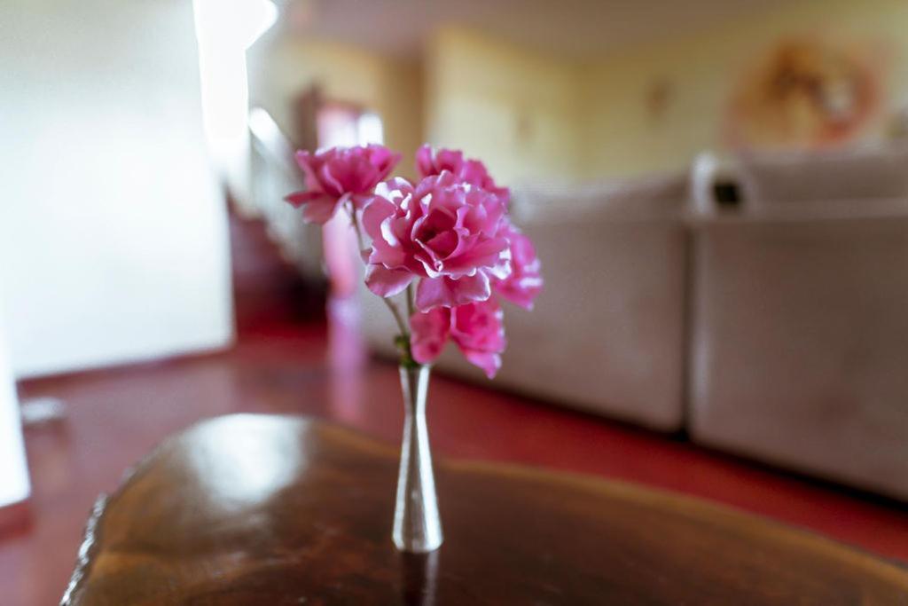 Fourways Junction Villa 1 Nairobi Extérieur photo
